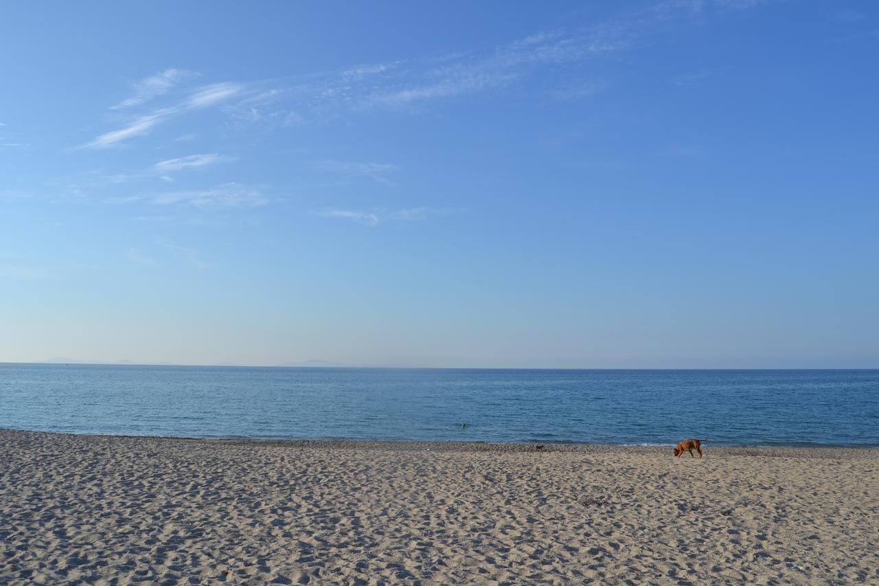 Miramare Struttura Sulla Spiaggia 普拉塔莫纳 外观 照片