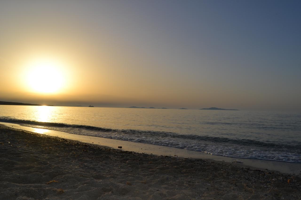 Miramare Struttura Sulla Spiaggia 普拉塔莫纳 外观 照片